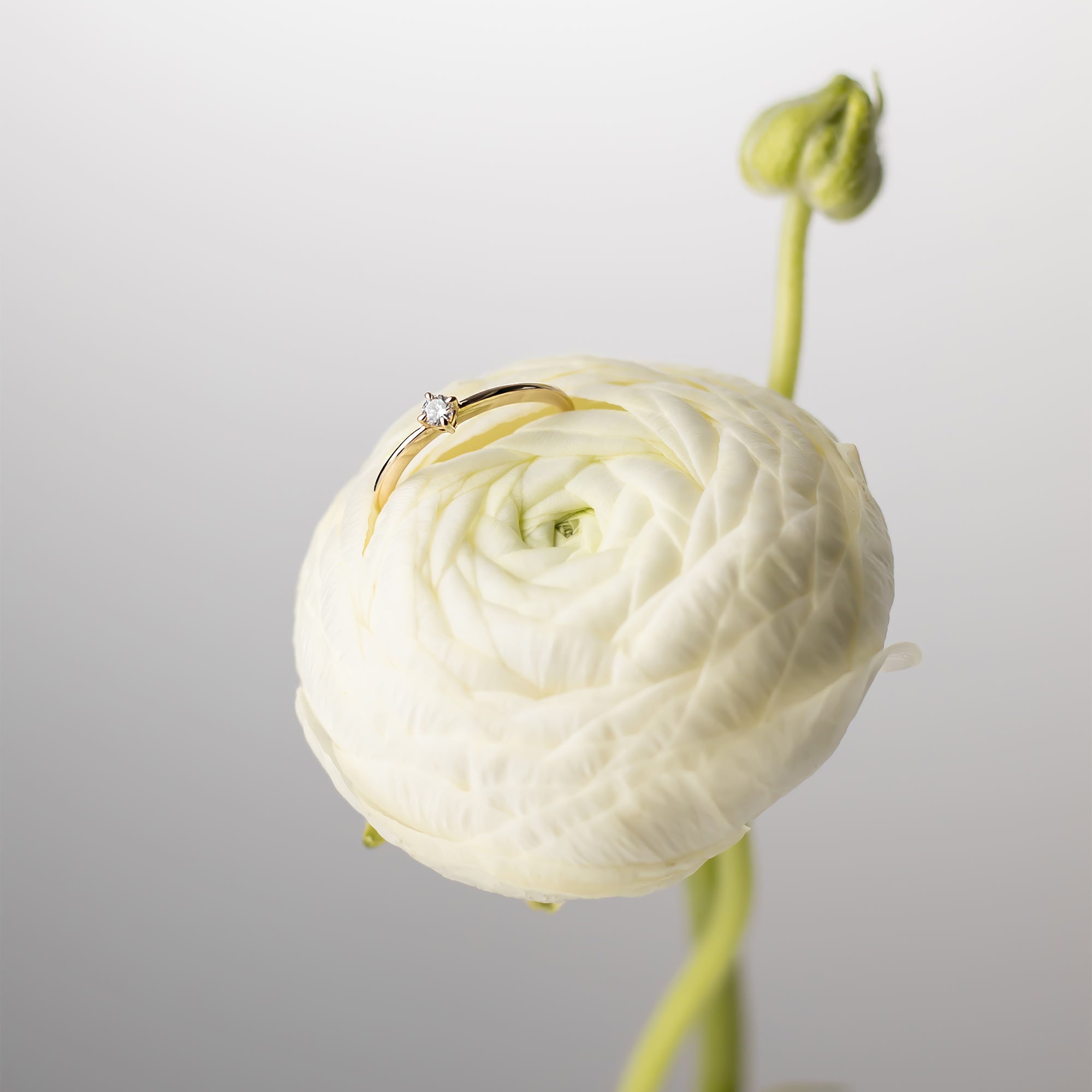 the classic engagement ring | solid gold