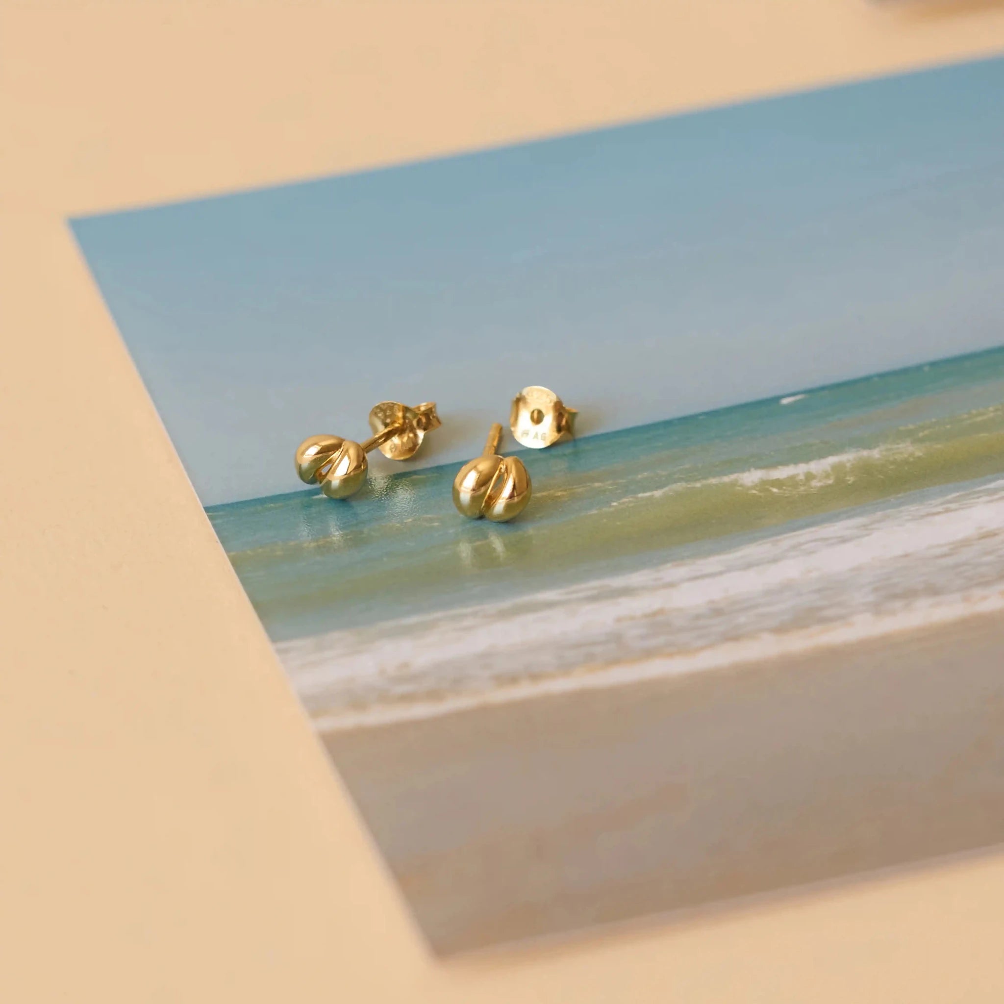 snail stud