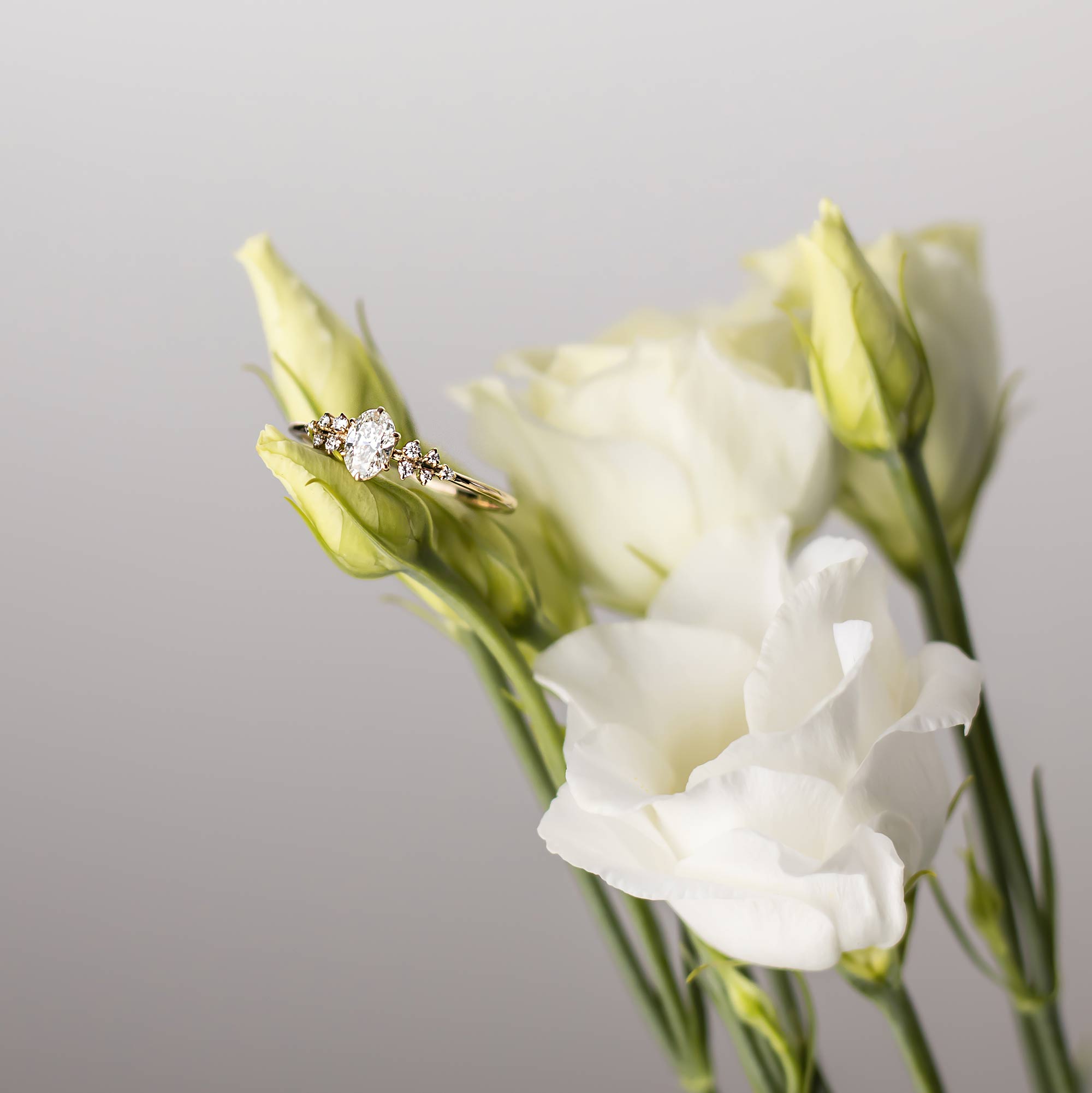 the iconic engagement ring | solid gold